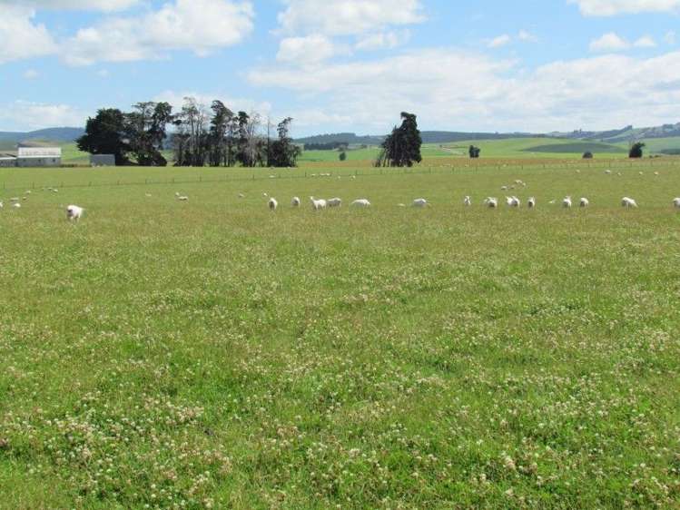 734 Crichton Road Milton_13