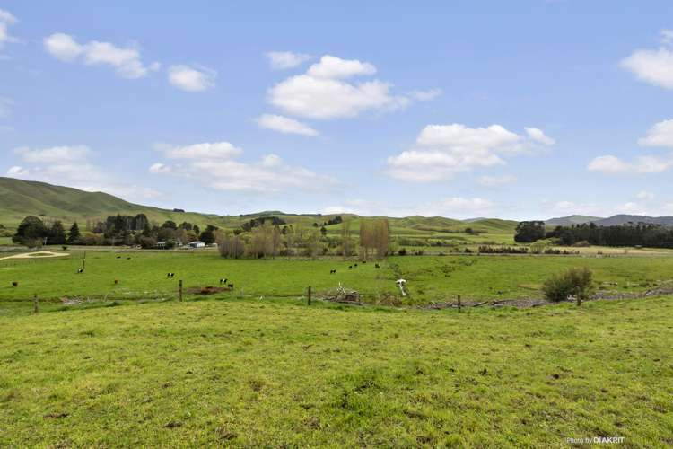 273 Mikimiki Road Mikimiki_5