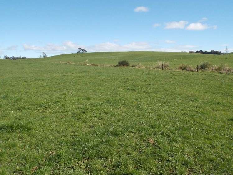 222 Lincoln Road Inglewood_11