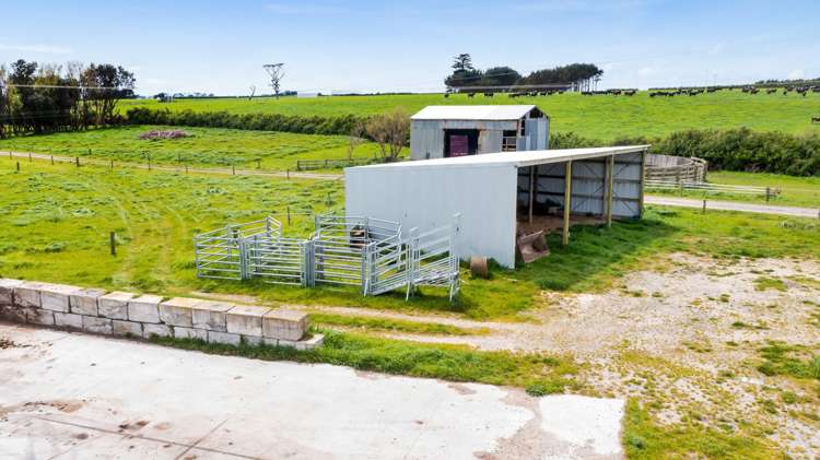 Kakaramea Road Patea_10