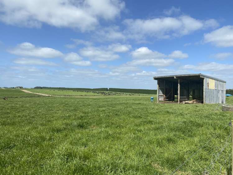 1005 Woodlands Invercargill Highway Longbush_9