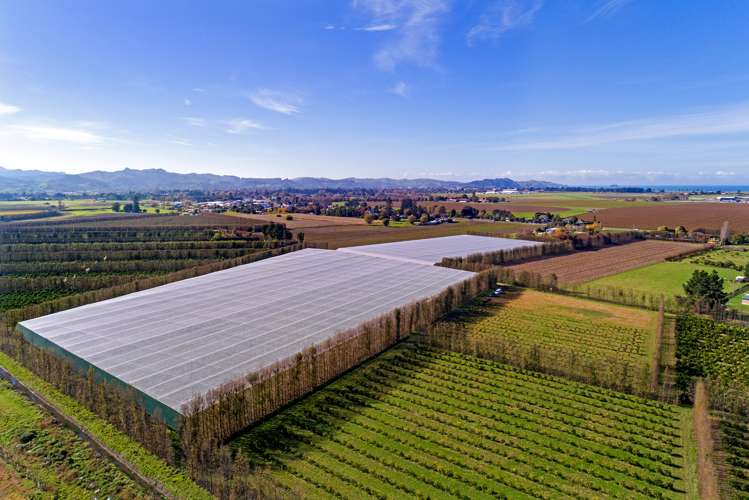 635 Awapuni Road, 160 and 153 Main Road Matawhero_13