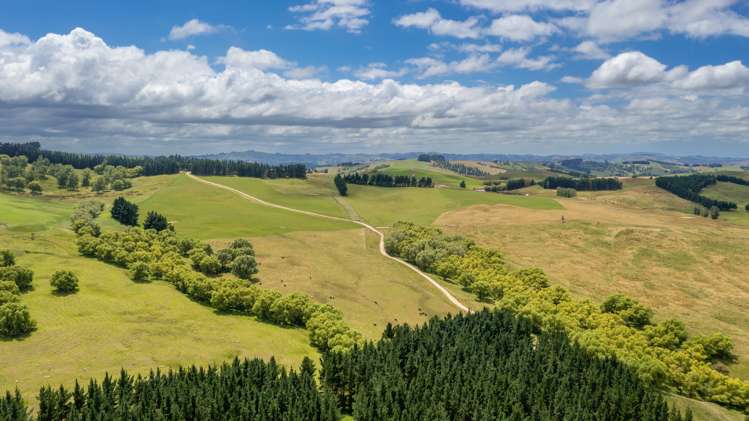 456 Ngawaka Road Central Hawkes Bay Country_12