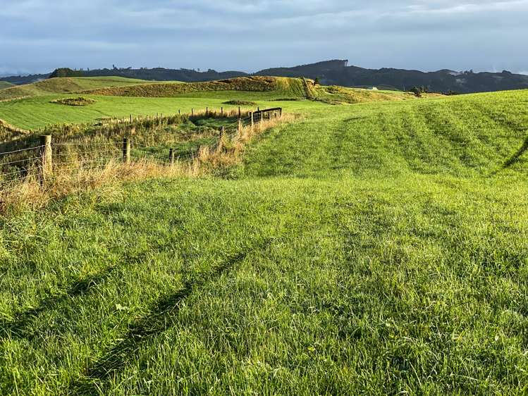 110 Harrison Road Tuatapere_7