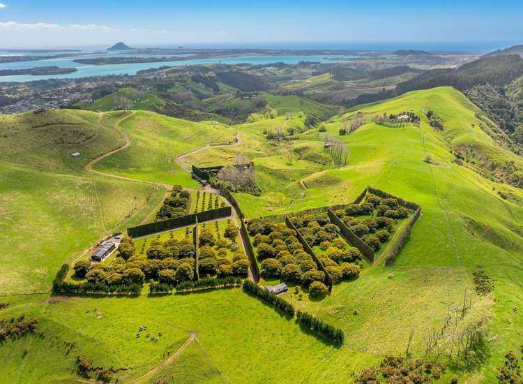 220F Waikite Road Welcome Bay_1