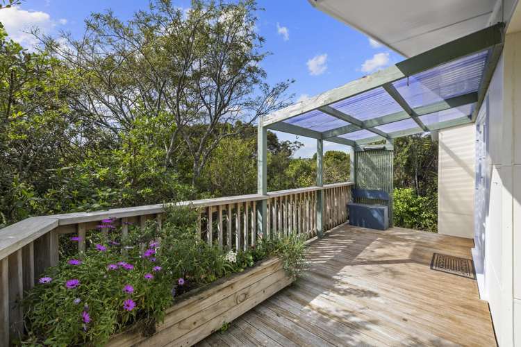 3A Snowden Place Raglan_24
