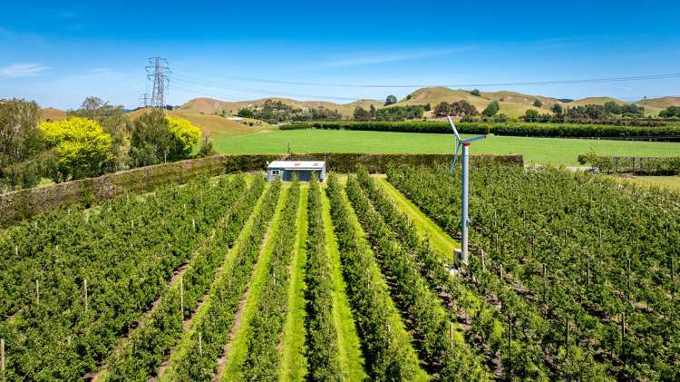 490 Puketitiri Road, Puketapu Napier South_7