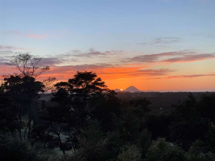 4 Kereru Lane Matata_22