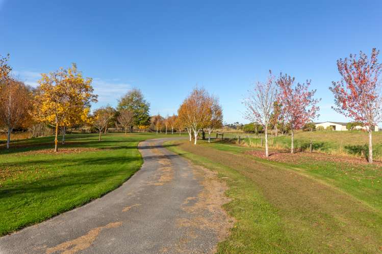 146 Mcleods Road Sefton_1