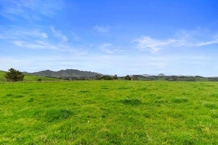 Pukehuia Road Tangiteroria_8