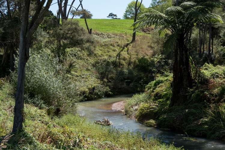 250 Ness Valley Road Ness Valley_14