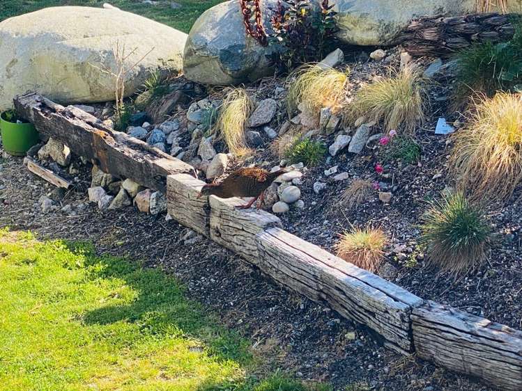 11 Main Road Ngakawau_8