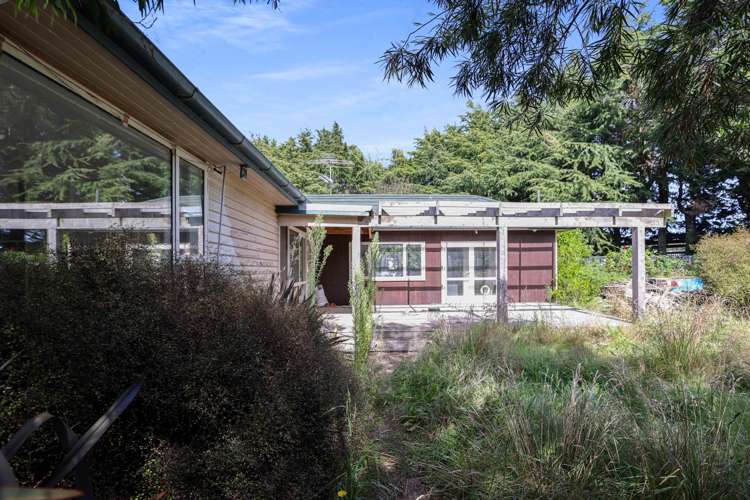 6 Rogers Street Hinds_29