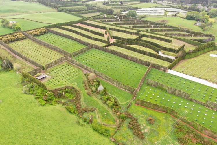 211 Pukekauri Road Waikino_15