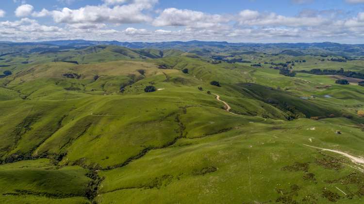 10284 Route 52 Pongaroa_13