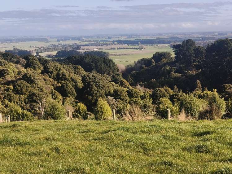 137 Kahikatea Drive_5