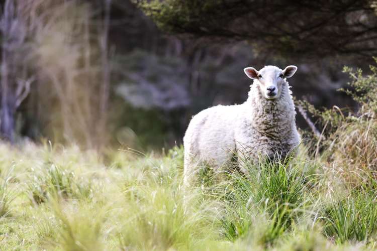 114 O'Brien Road Coatesville_11