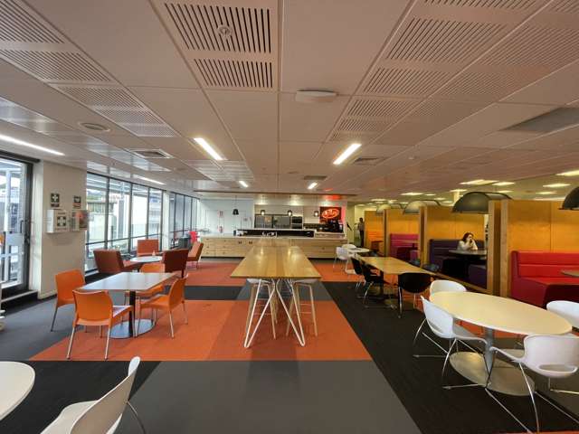 60 stanley street Parnell_1