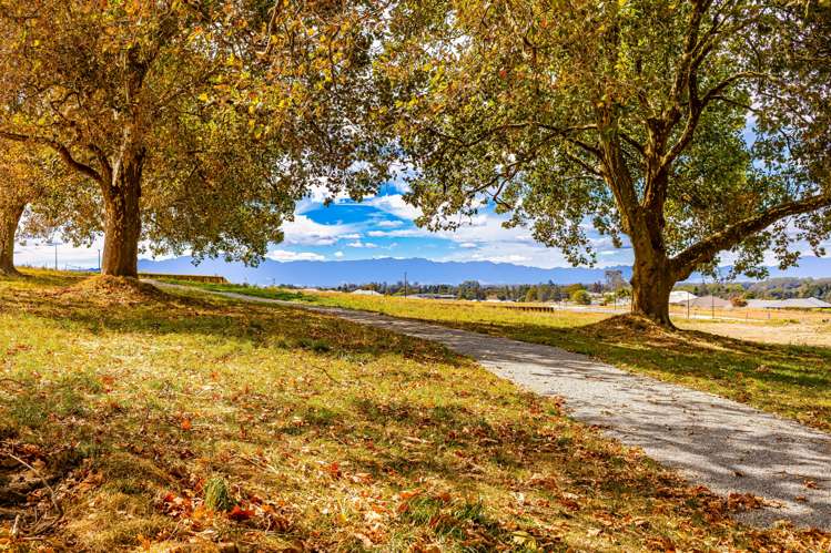 17 Morrin Street Morrinsville_4