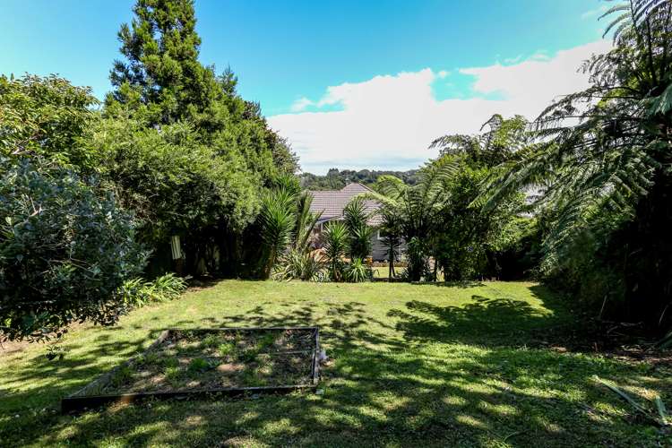 67 Ballance Street Lower Vogeltown_12