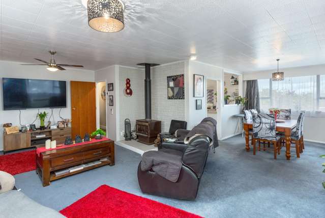 2 Manuka Street Masterton_2