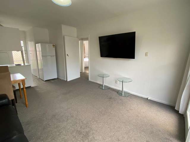 Lush Avenue St Johns_2