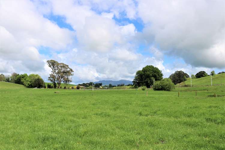 Waotu and Arapuni Road Putaruru_1