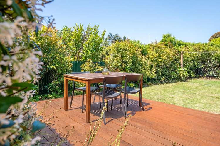 175A Vigor Brown Street Napier South_9