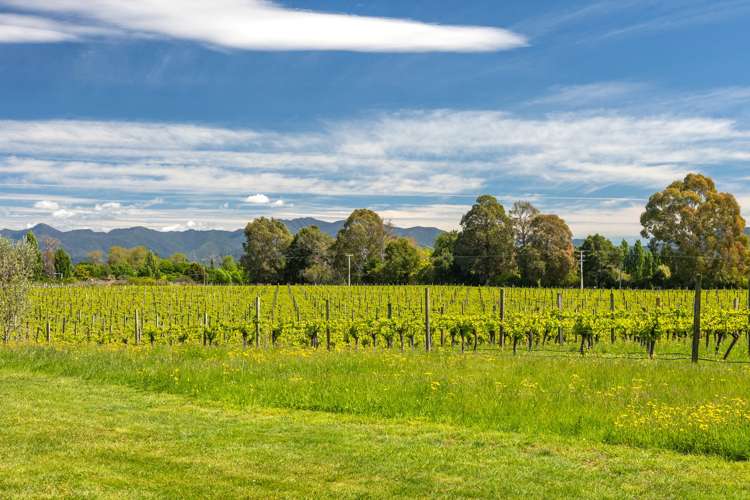 621 New Renwick Road Fairhall_15