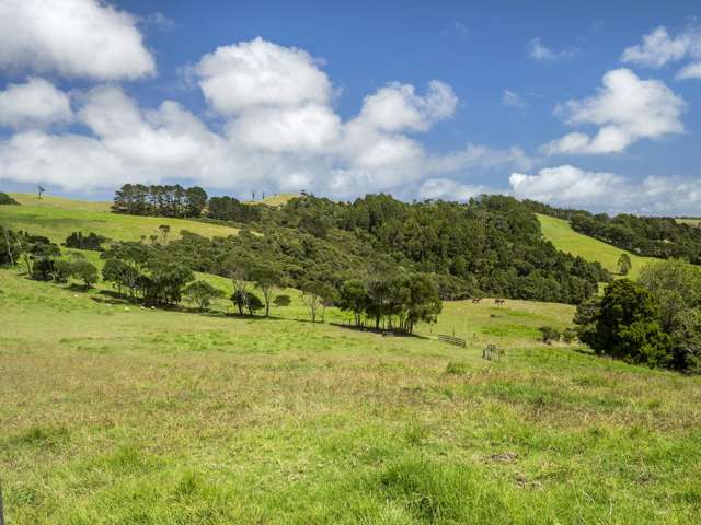 234 Muriwai Valley Road Waimauku_3