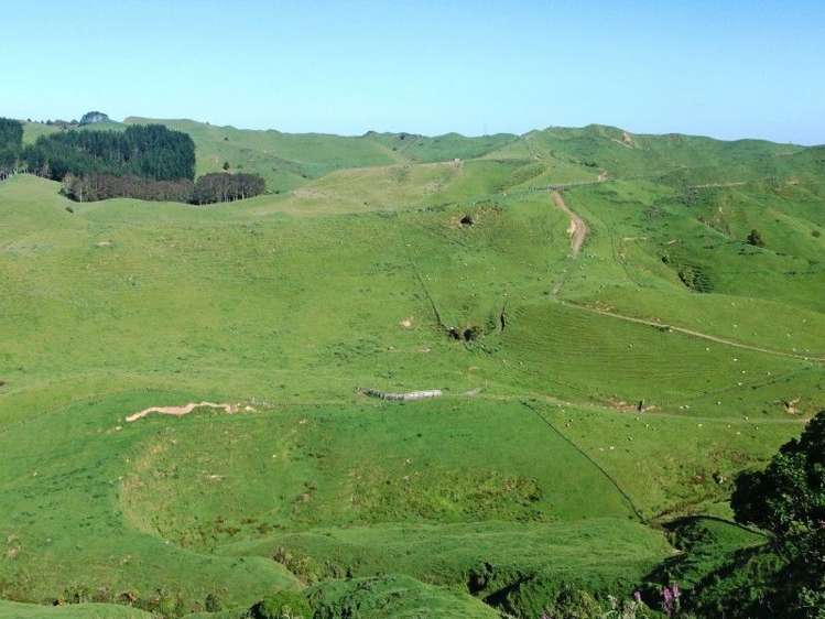 446 Stanley Road Te Popo_45