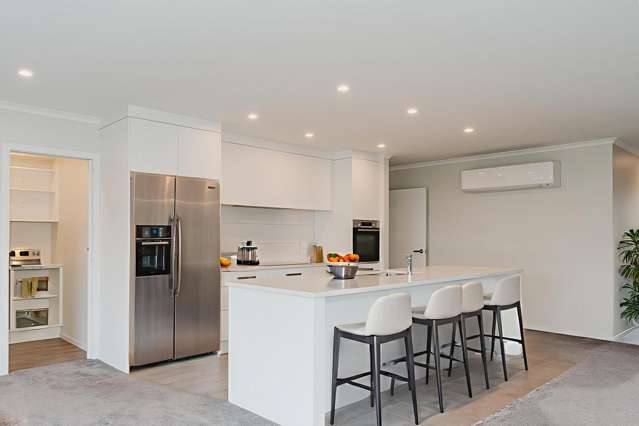 241 Page Crescent Te Awamutu_1