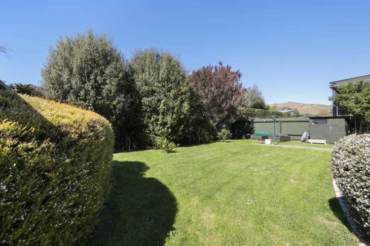 10 Nikau Drive Redwoodtown_17