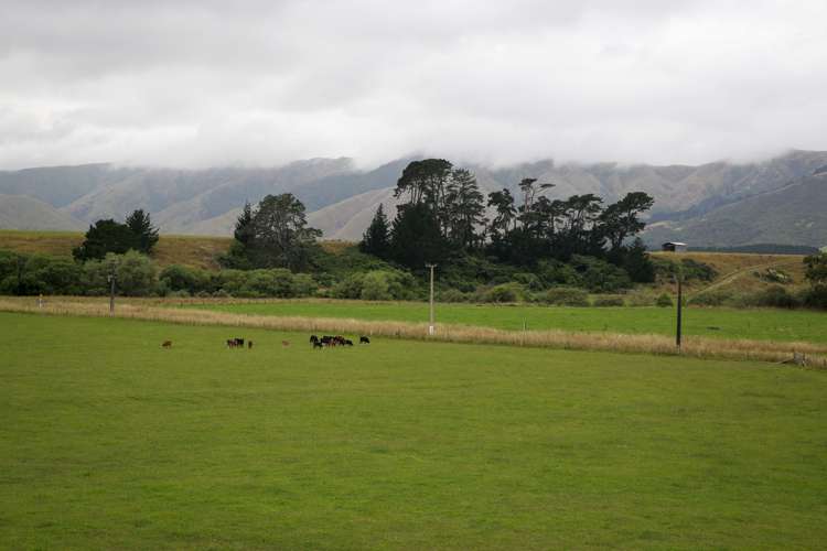 97 Stafford Street Shannon_6