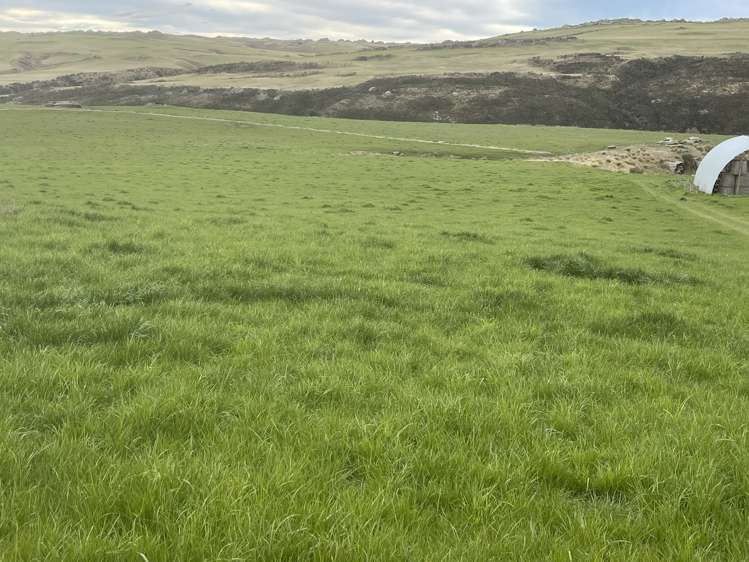 968 Wallaces Ford Road Hindon_22