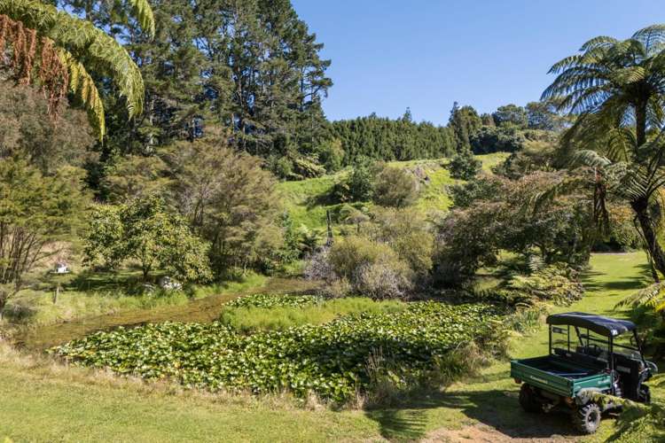 189 Thompsons Track Katikati_35