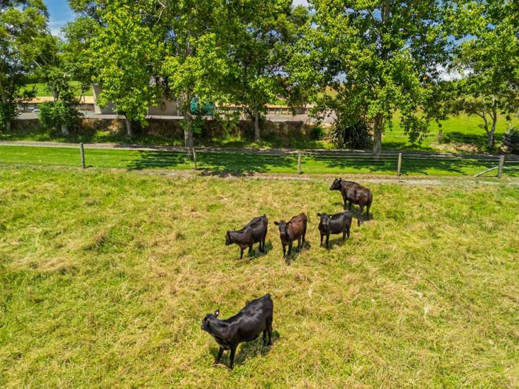 95b McLeod Road Kerikeri_27