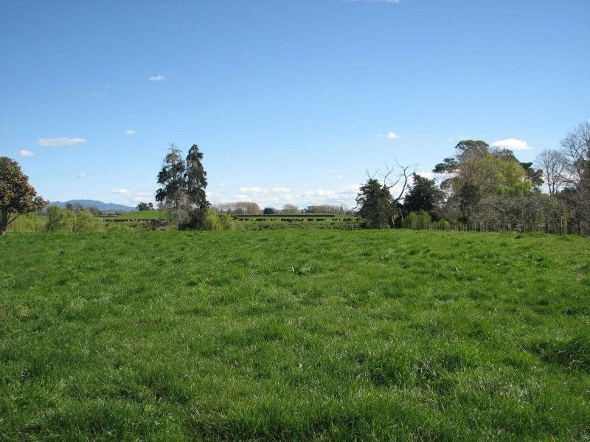 State Highway 27 Matamata_0