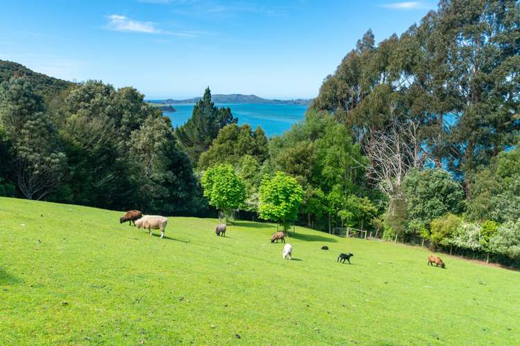 62 Reynoldstown Road Careys Bay_1