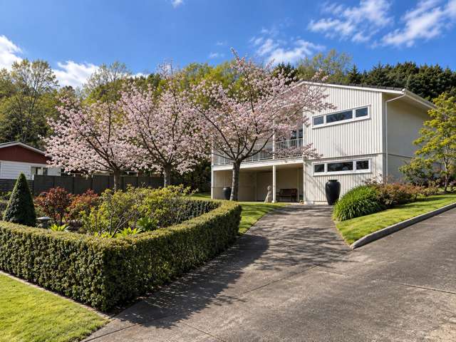 Stylish Living in Whataupoko