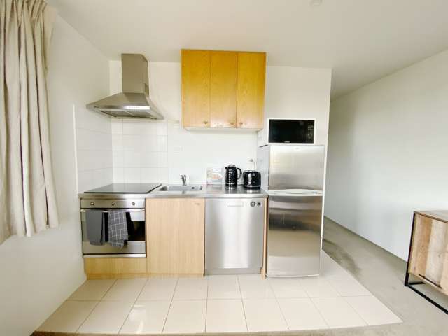 413/10 Ronayne Street Auckland Central_2