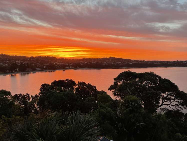 54 Ardern Avenue Stanmore Bay_3