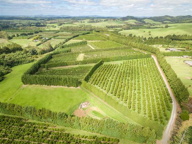 517 Kerikeri Road Kerikeri_10