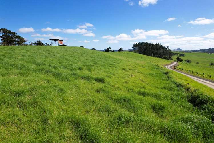 Rehia Road Ruawai_16