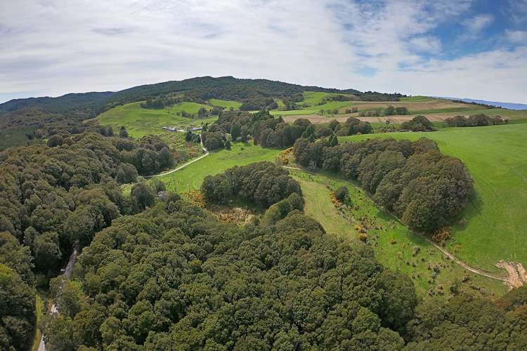 1126 Grove Burn Road Tuatapere_11