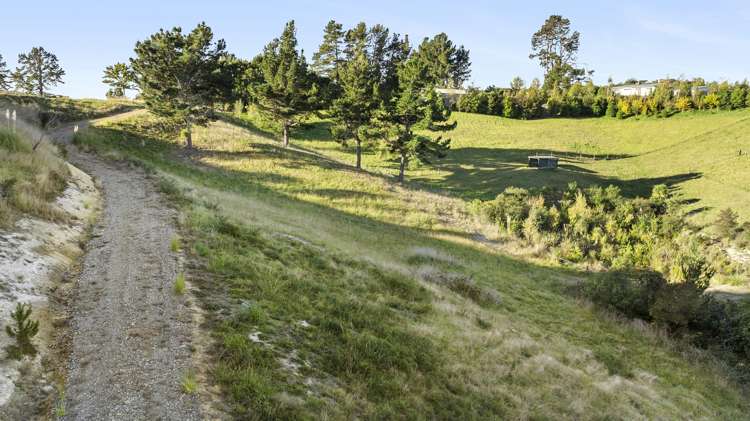 101 Brooks View Heights Tasman_21