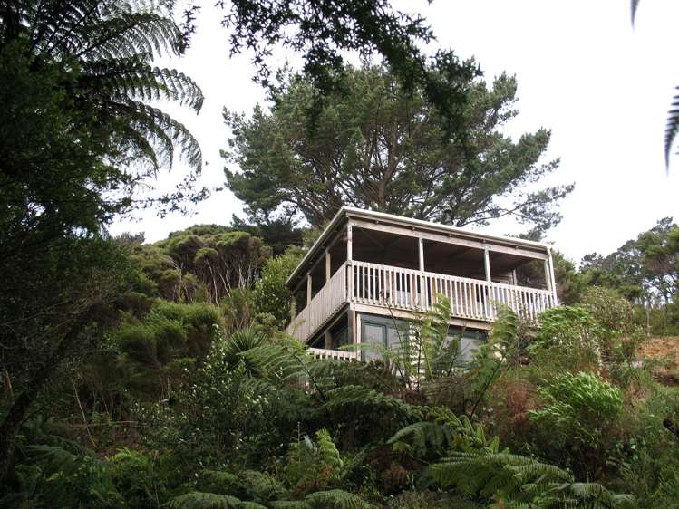 Tane Mahuta/122 Lone Kauri Road Karekare_10