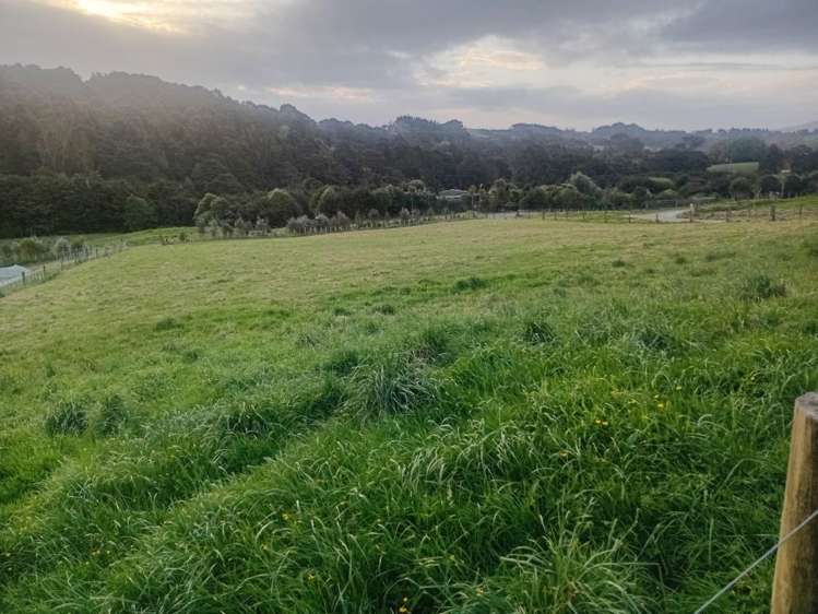 lot 2/115 Kereru Lane Kaiwaka_6