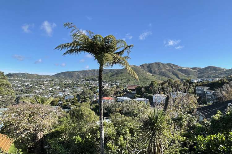 76 Fox Street Ngaio_14