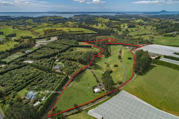285c Wainui South Road Whakamarama_2
